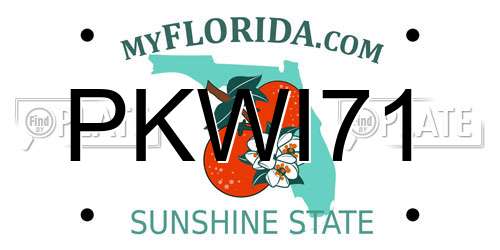 PKWI71 Florida License Plate