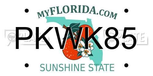 PKWK85 Florida License Plate