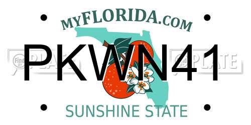 PKWN41 Florida License Plate