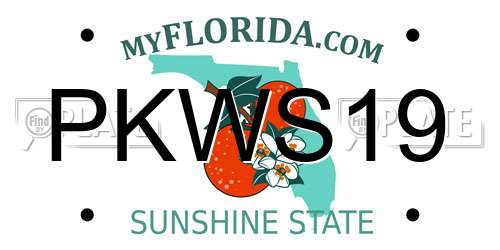 PKWS19 Florida License Plate