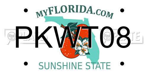 PKWT08 Florida License Plate