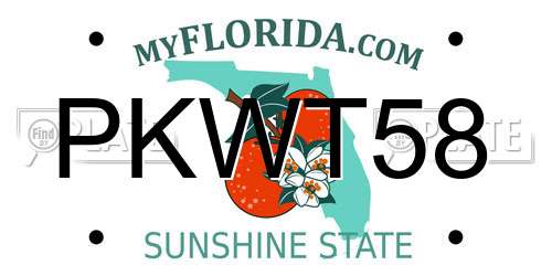 PKWT58 Florida License Plate