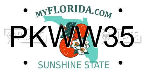 PKWW35 Florida License Plate