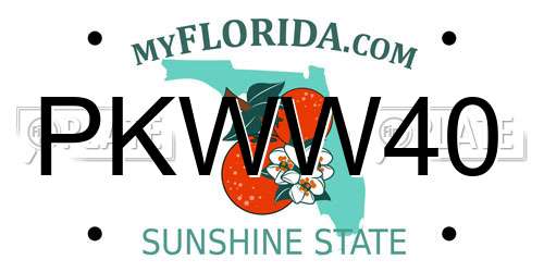 PKWW40 Florida License Plate