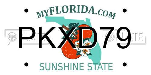 PKXD79 Florida License Plate