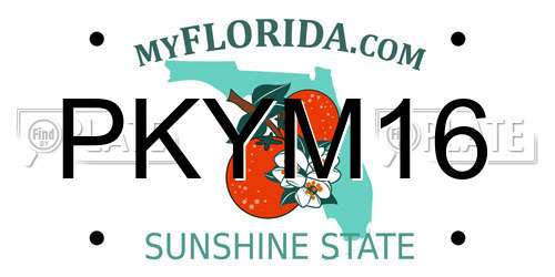 PKYM16 Florida License Plate