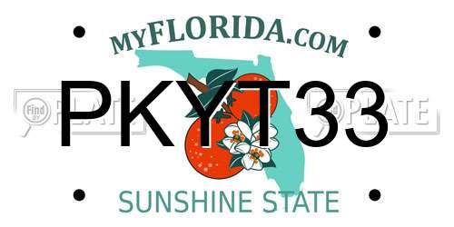 PKYT33 Florida License Plate