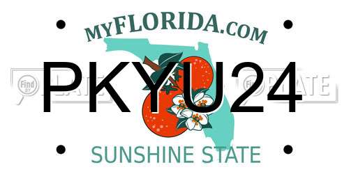 PKYU24 Florida License Plate