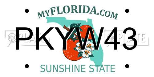 PKYW43 Florida License Plate