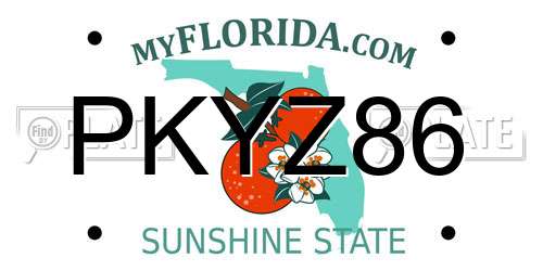 PKYZ86 Florida License Plate