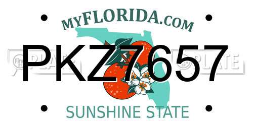 PKZ7657 Florida License Plate