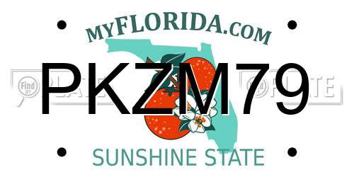PKZM79 Florida License Plate