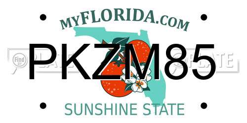 PKZM85 Florida License Plate
