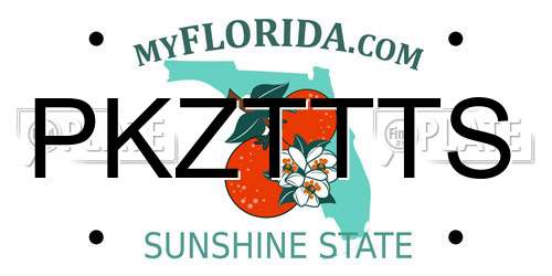 PKZTTTS Florida License Plate