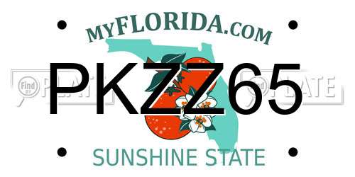 PKZZ65 Florida License Plate