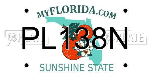 PL138N Florida License Plate