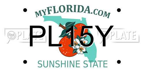 PL15Y Florida License Plate