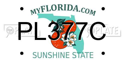 PL377C Florida License Plate