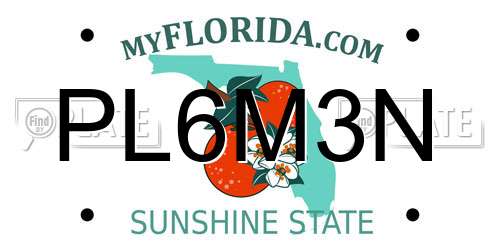 PL6M3N Florida License Plate