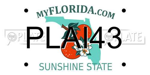 PLAI43 Florida License Plate