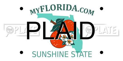 PLAID Florida License Plate