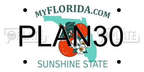 PLAN30 Florida License Plate