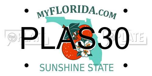 PLAS30 Florida License Plate