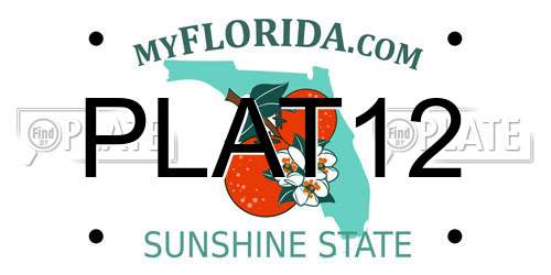 PLAT12 Florida License Plate