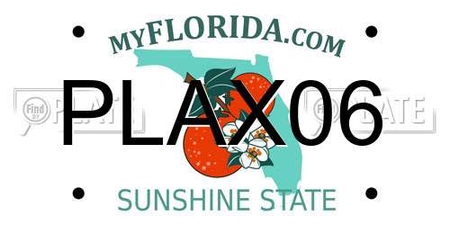 PLAX06 Florida License Plate