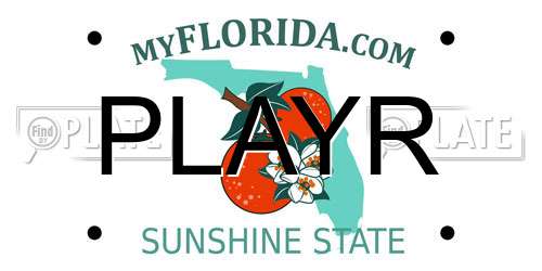 PLAYR Florida License Plate