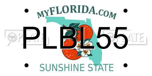 PLBL55 Florida License Plate