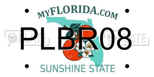 PLBR08 Florida License Plate