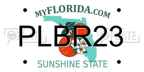 PLBR23 Florida License Plate