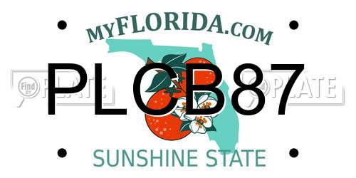 PLCB87 Florida License Plate