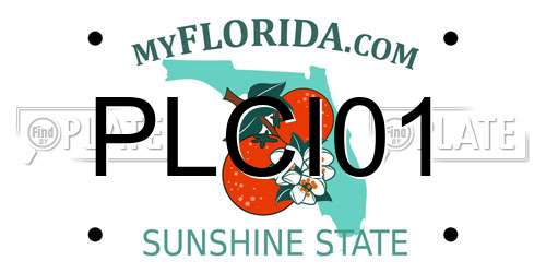 PLCI01 Florida License Plate