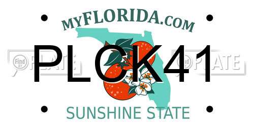PLCK41 Florida License Plate