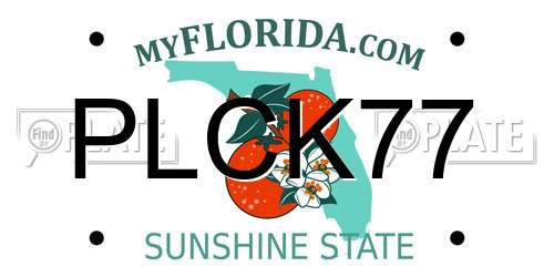 PLCK77 Florida License Plate