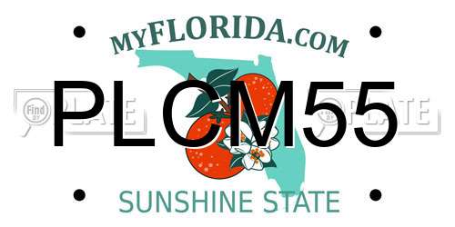 PLCM55 Florida License Plate