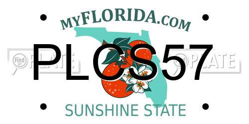 PLCS57 Florida License Plate