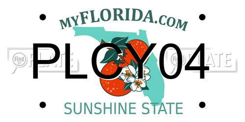 PLCY04 Florida License Plate