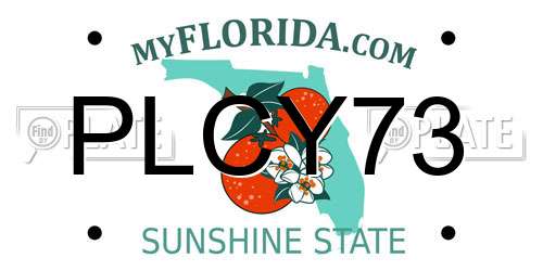 PLCY73 Florida License Plate