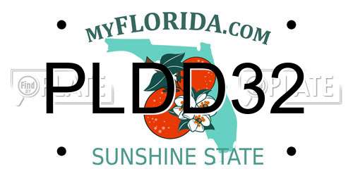 PLDD32 Florida License Plate