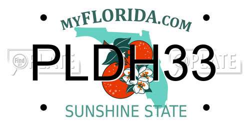 PLDH33 Florida License Plate