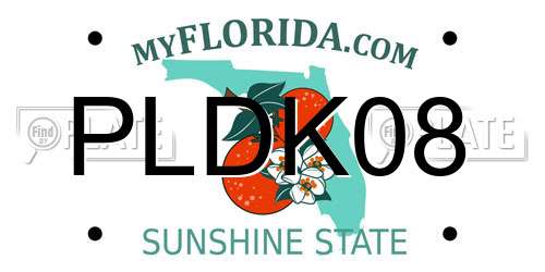 PLDK08 Florida License Plate