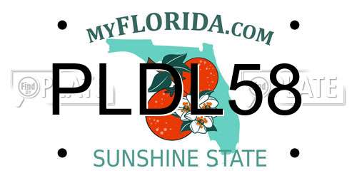 PLDL58 Florida License Plate