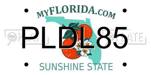PLDL85 Florida License Plate