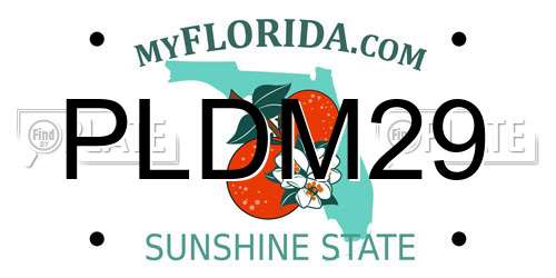 PLDM29 Florida License Plate