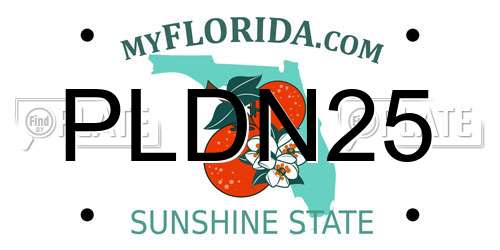 PLDN25 Florida License Plate