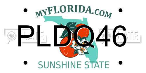 PLDQ46 Florida License Plate