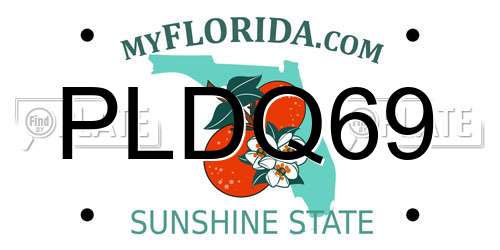 PLDQ69 Florida License Plate